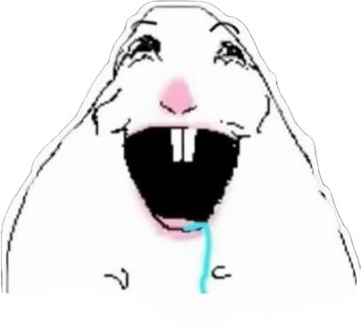 lottie 🎀 tweet media