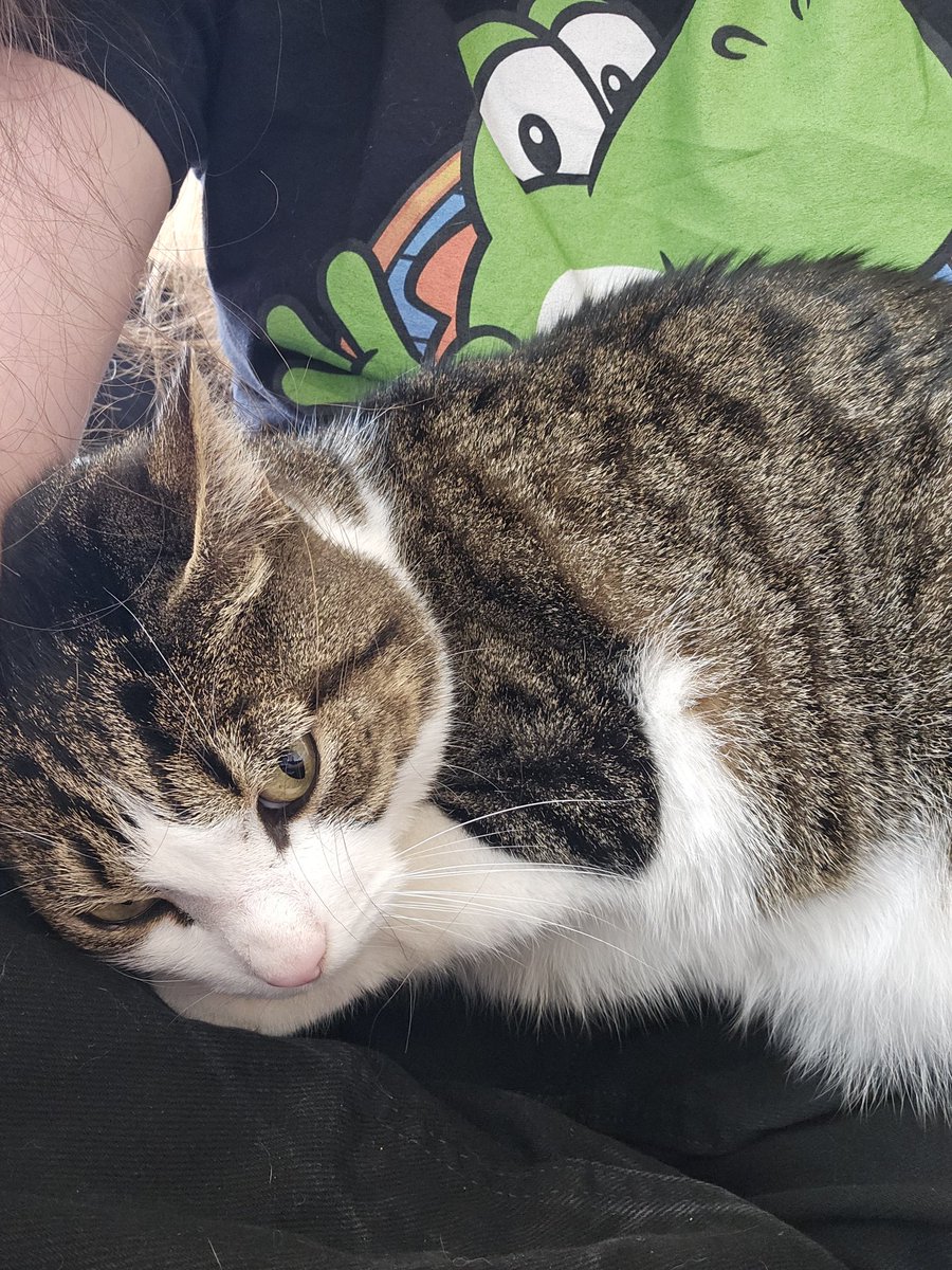 Pirate Software tweet media