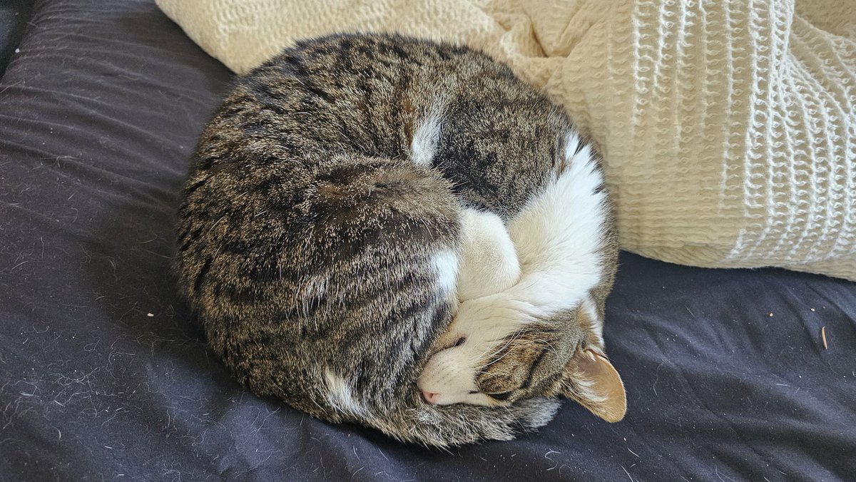 Pirate Software tweet media