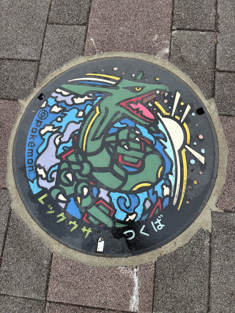 さつき3/31ポケパークカントー遠征 tweet media