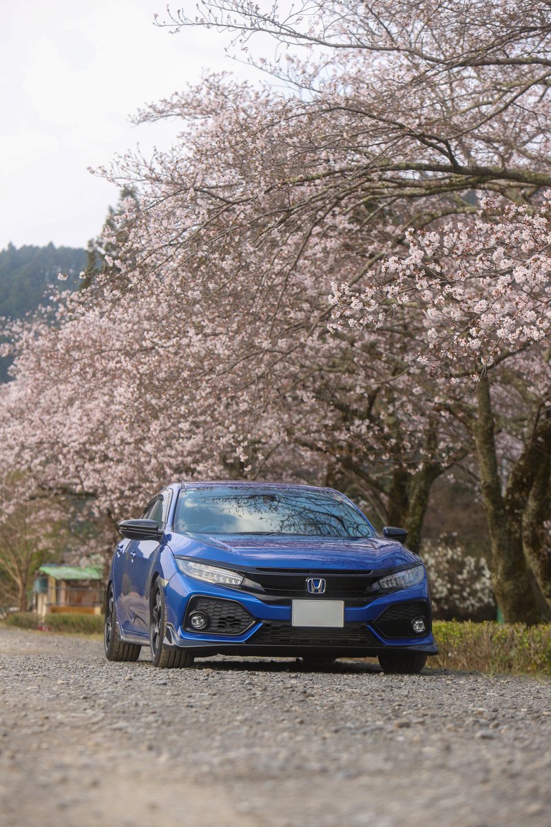 fk7_punch's tweet photo. #ちょっと斜め前からがカッコいい

桜が綺麗🌸 https://t.co/o8eNYVogyt