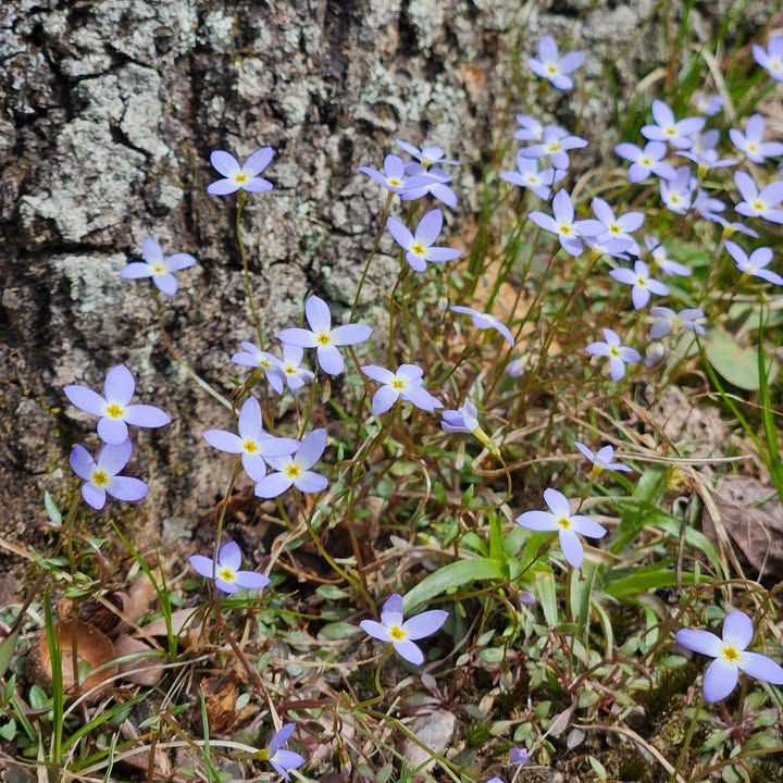 Ohio State Parks & Watercraft tweet media