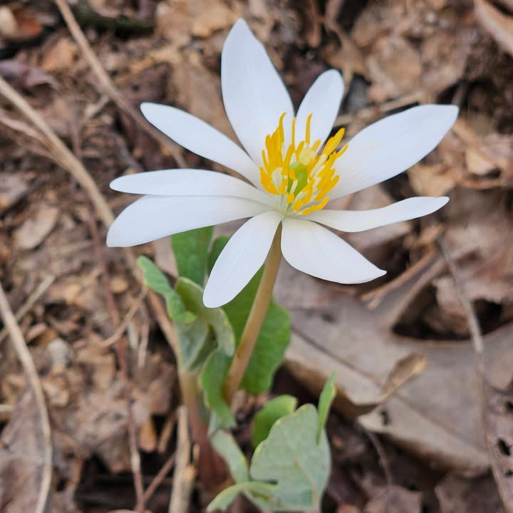 Ohio State Parks & Watercraft tweet media