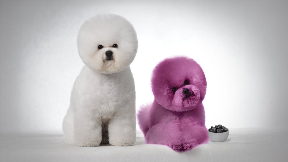 【公式】カリフォルニア プルーン協会 tweet media