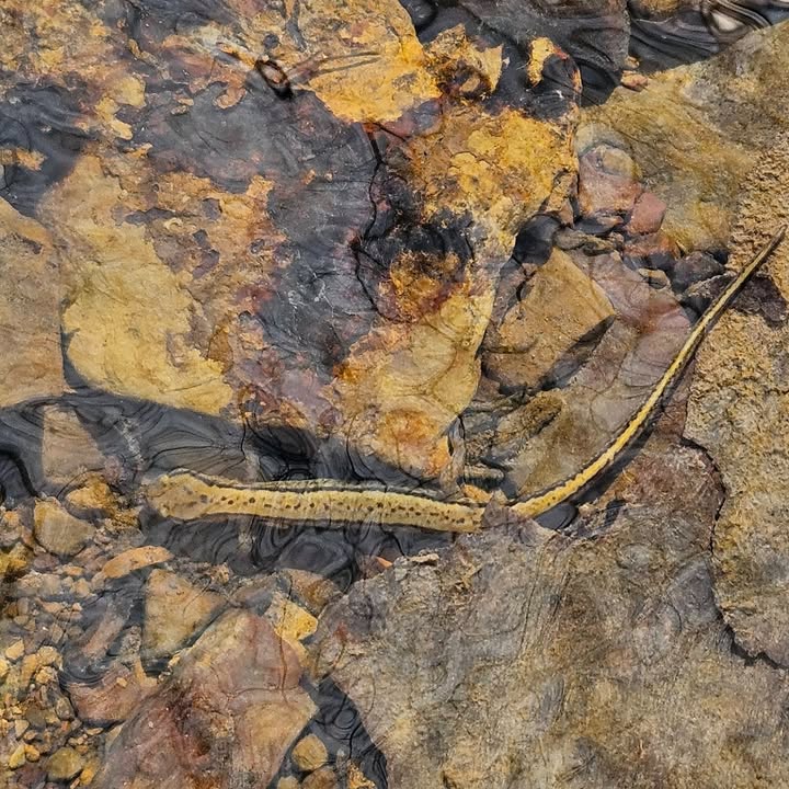 Ohio State Parks & Watercraft tweet media