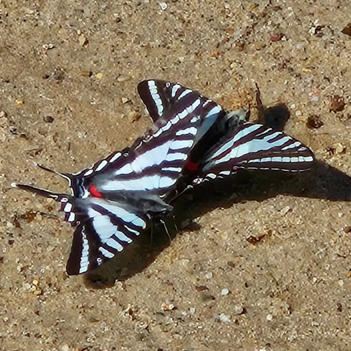 Ohio State Parks & Watercraft tweet media