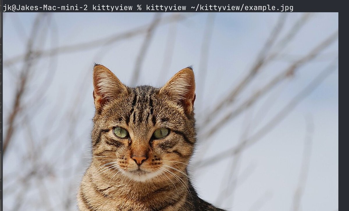 I hate having to scp images off my sandbox host to view them when playwright is doing its thing, turns out <a href="/mikesample/">Mike Sample</a> felt the same way :

github.com/gominimal/kitt…