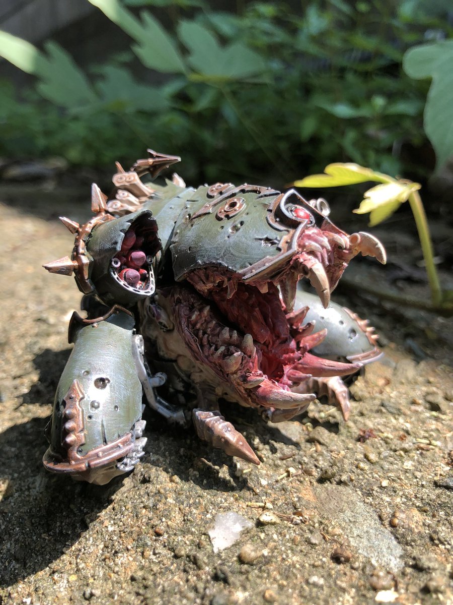 ひろくん🍥 tweet media