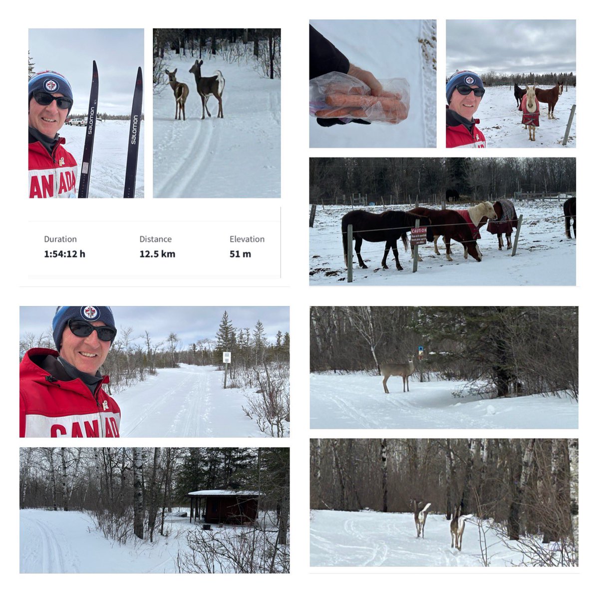 James Torrance tweet media