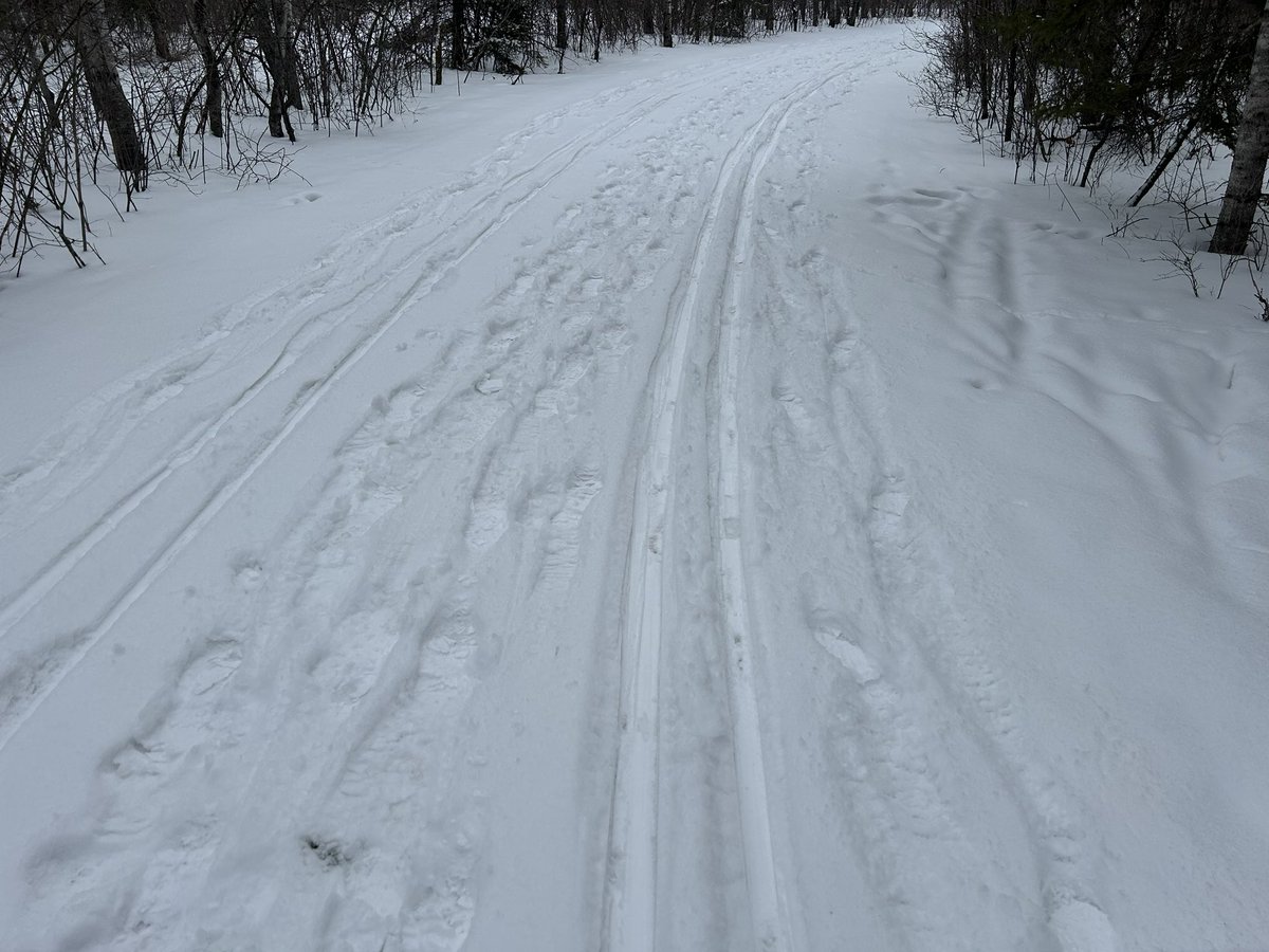 James Torrance tweet media