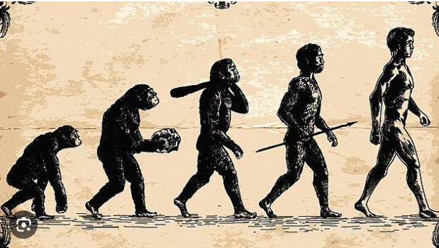 FredGaulois's tweet photo. @ImpactMediaFR La gauche va finir par dire que la théorie de Darwin est raciste!!!
Vous êtes pitoyable https://t.co/VBedmWNVUZ