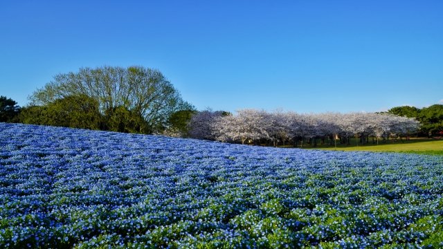 唐司 誠＠行政書士@さいたま市 tweet media
