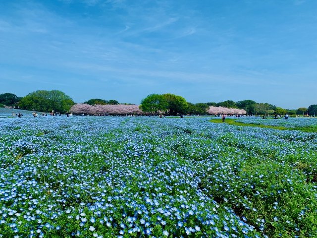 唐司 誠＠行政書士@さいたま市 tweet media