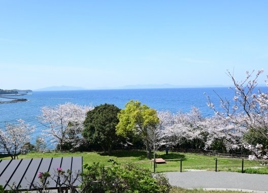 唐司 誠＠行政書士@さいたま市 tweet media