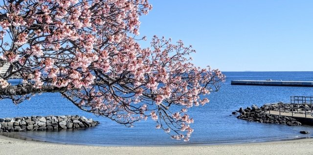 唐司 誠＠行政書士@さいたま市 tweet media