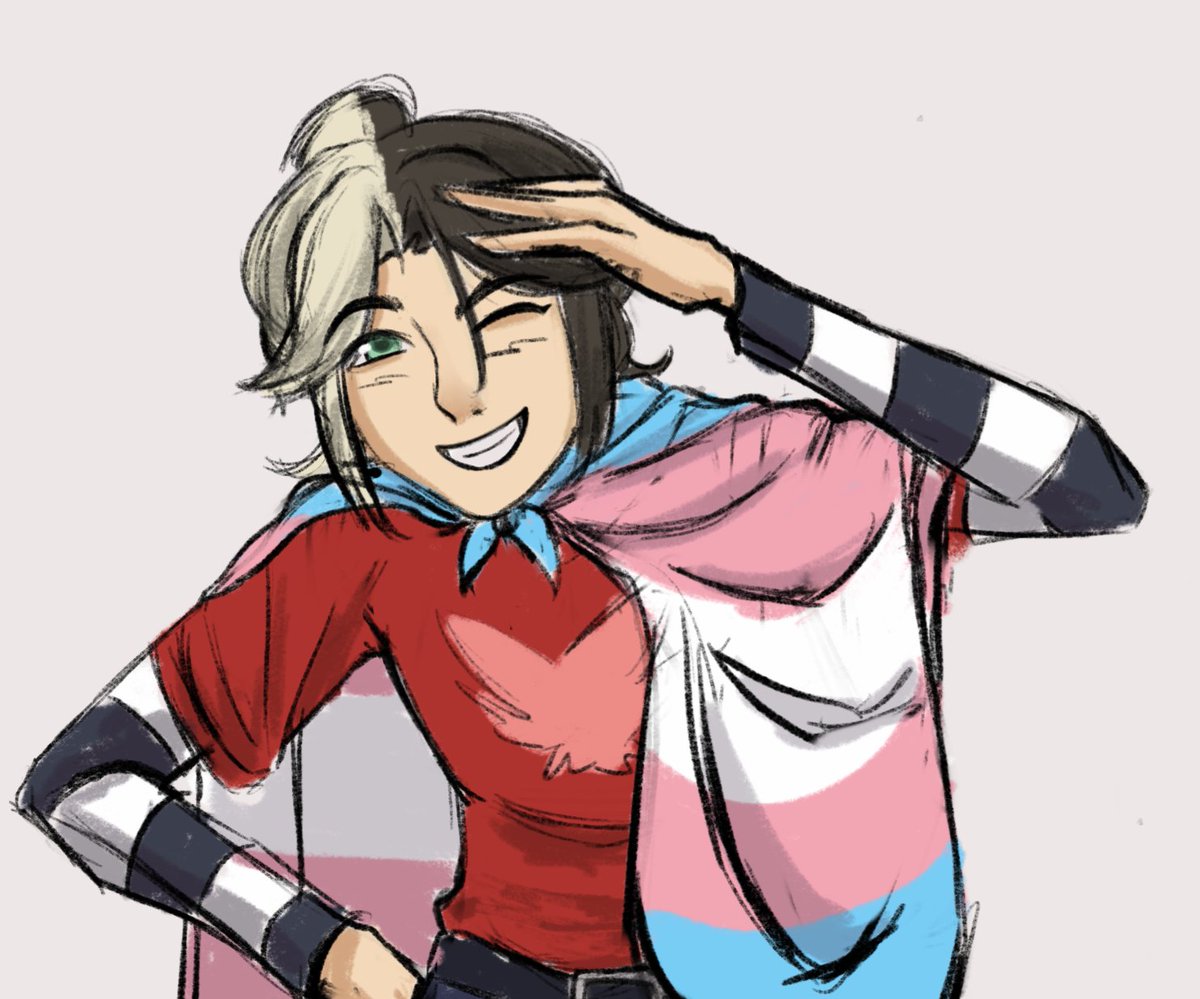 Happy trans visibility day!!!🏳️‍⚧️

#dctwt 
#aidendisventurecamp