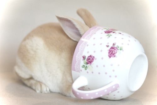 Ი⑅𐑼 tweet media