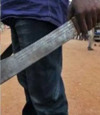 AlbertJulián informa🇨🇱 respaldo tweet media