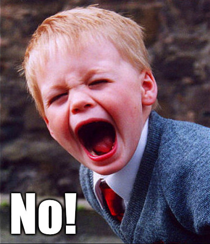 Political Memester tweet media