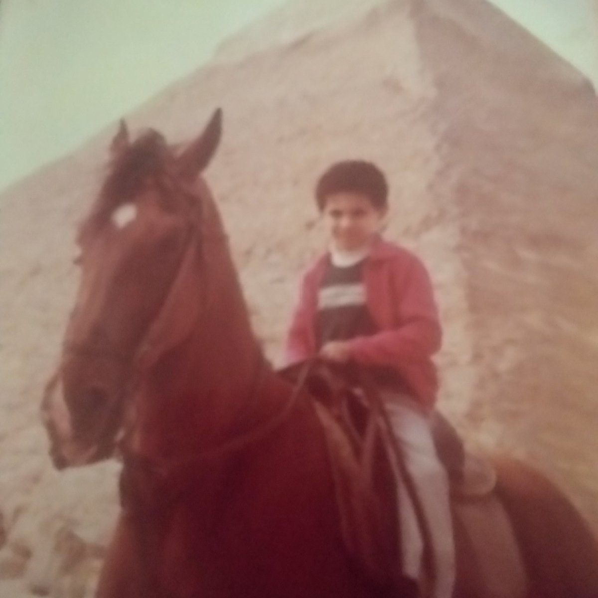 𝕋𝕒𝕞𝕖𝕣 ℤ𝕒𝕜𝕒𝕣𝕚𝕒 tweet media