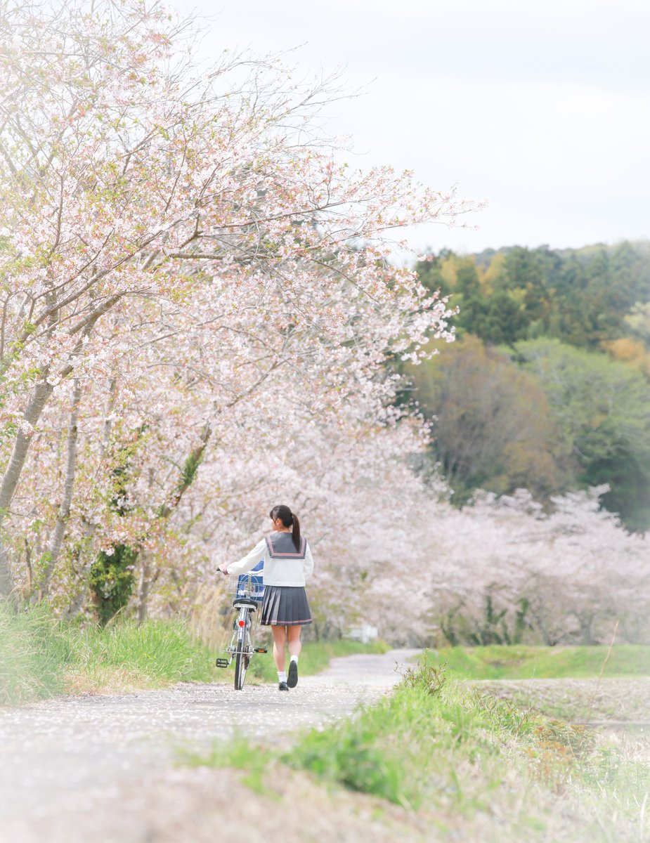 ryohryoh10's tweet photo. 桜ポトレ ゆる募  4/3   #桜 #ポトレ #ポートレート #被写体 #被写体募集 #愛知 #静岡 https://t.co/flKYdzMUx2