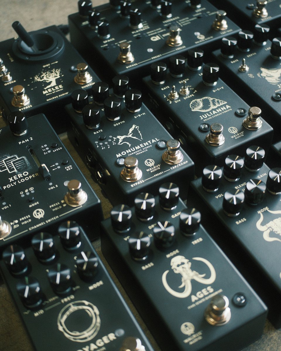 Walrus Audio tweet media