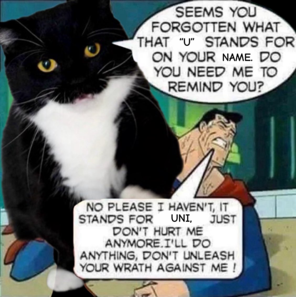 THE CEO OF LUPIN THE THIRD™ tweet media