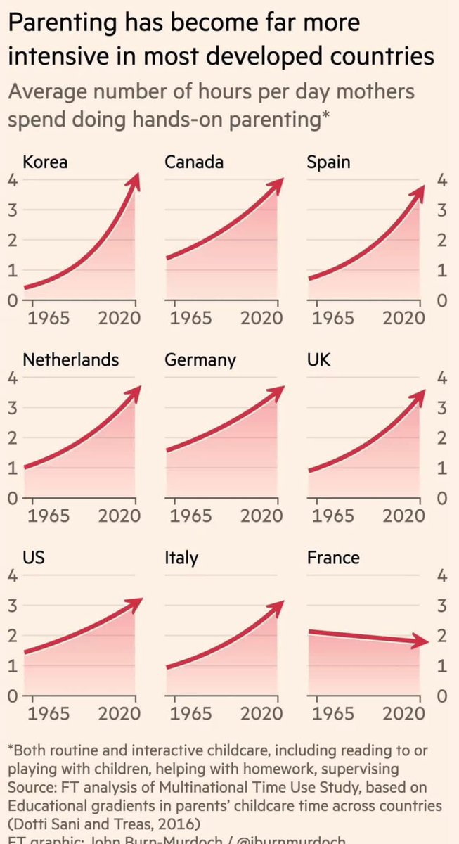 Daniel Steinmetz-Jenkins tweet media