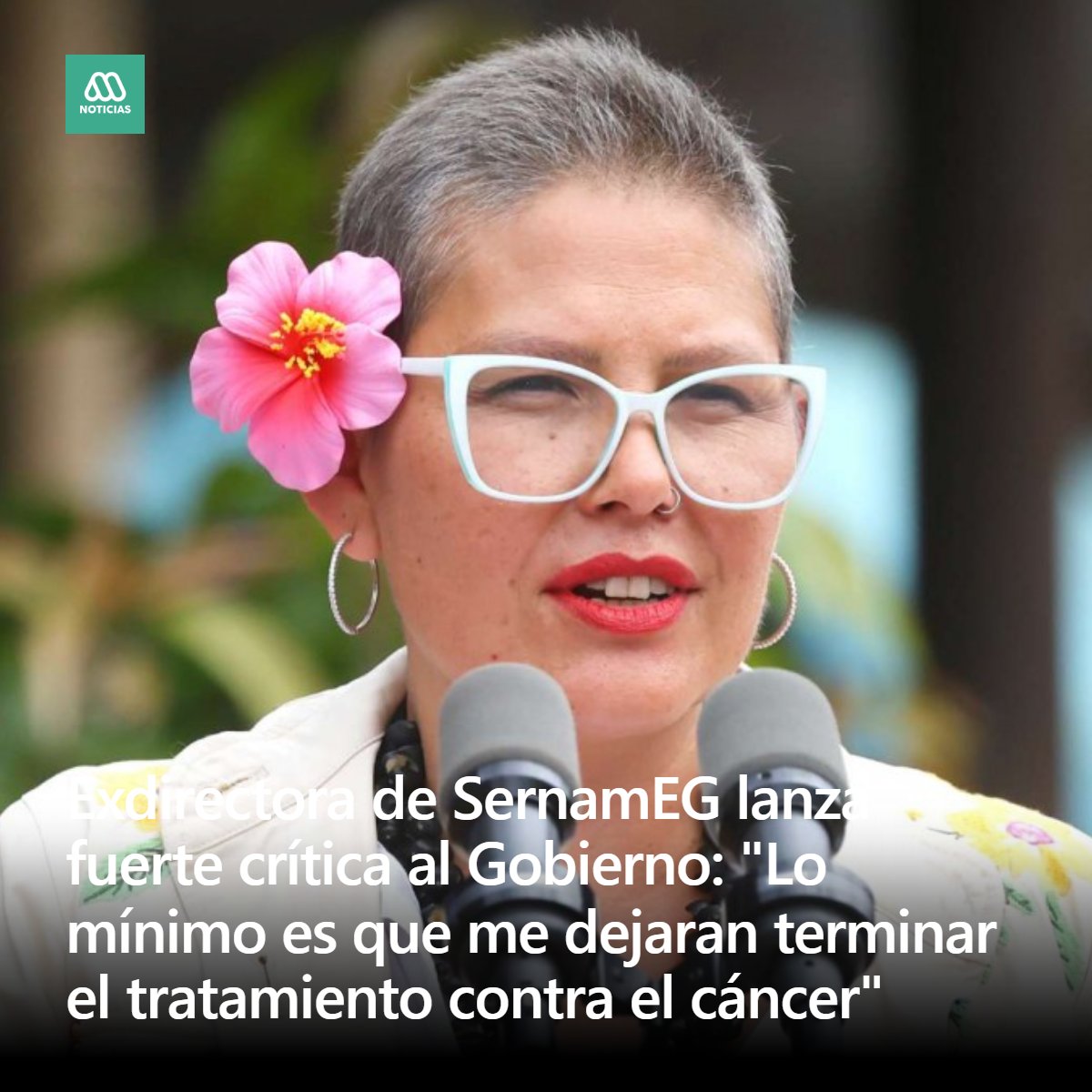 Meganoticias tweet media