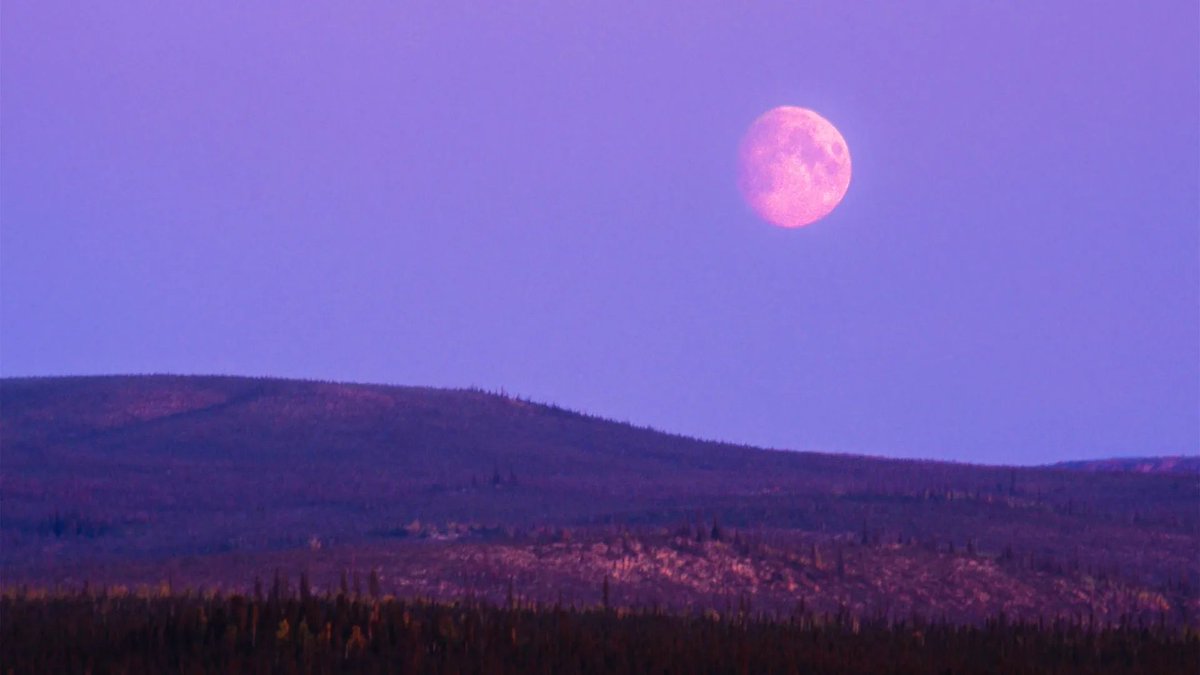 Curiosity tweet media