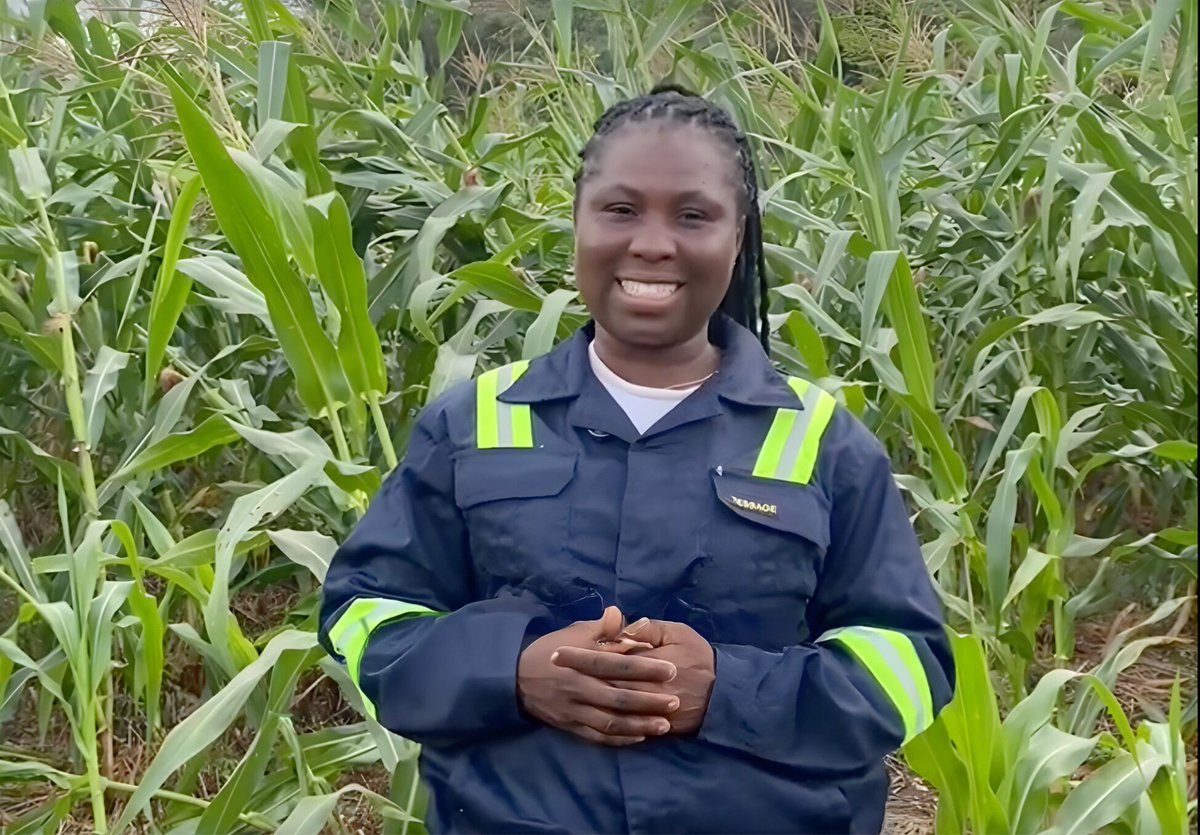 UN Development tweet media