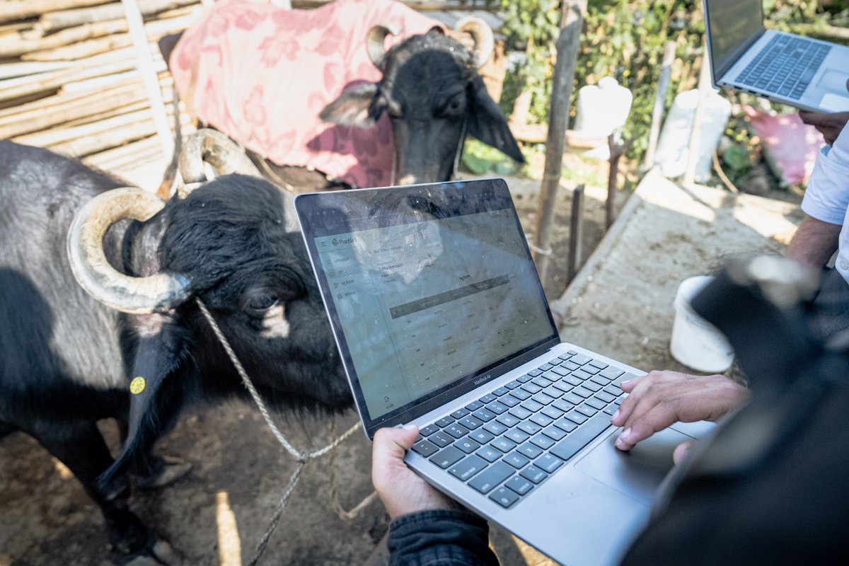 UN Development tweet media