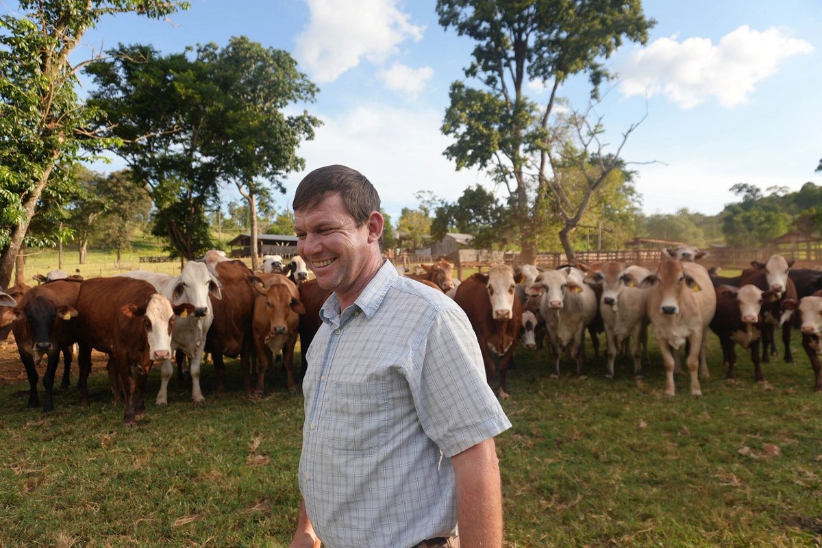 UN Development tweet media