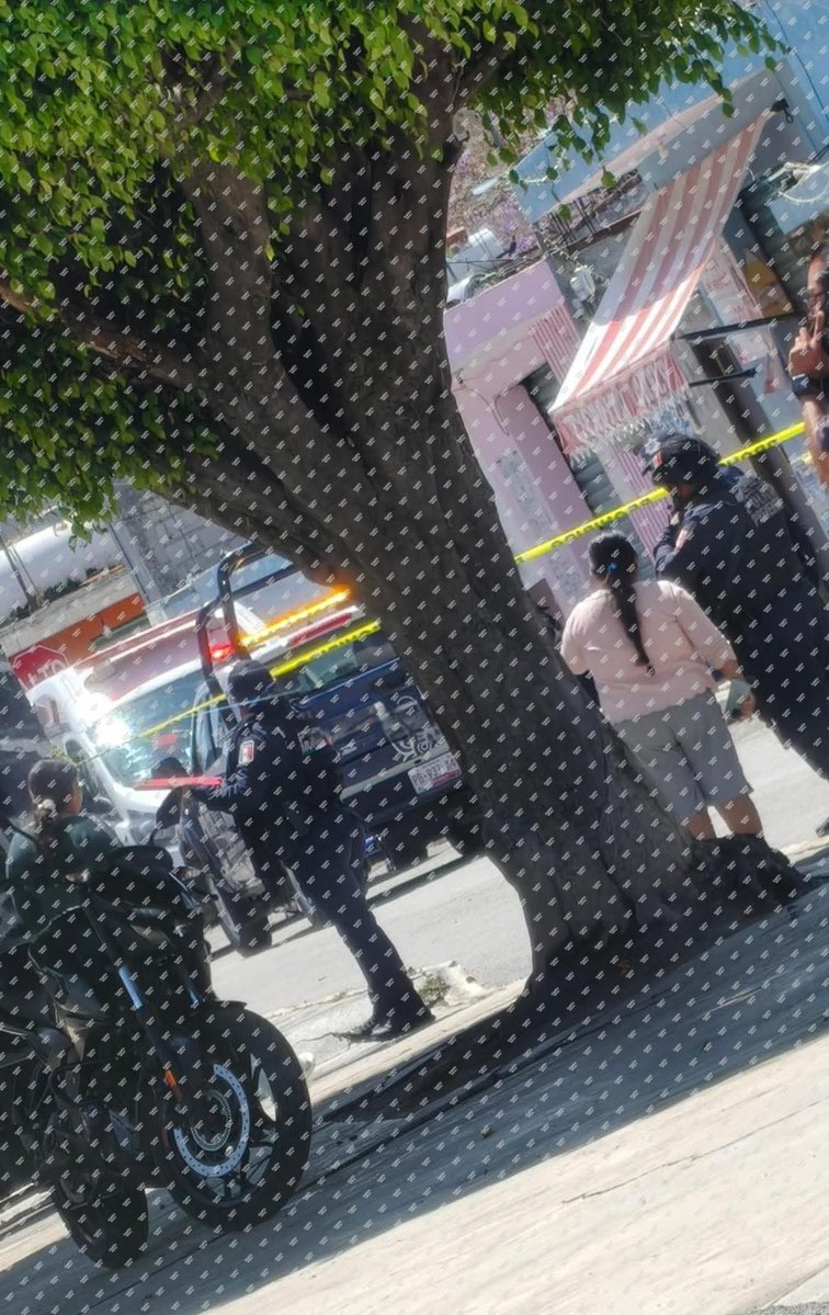 Angelina Bueno tweet media