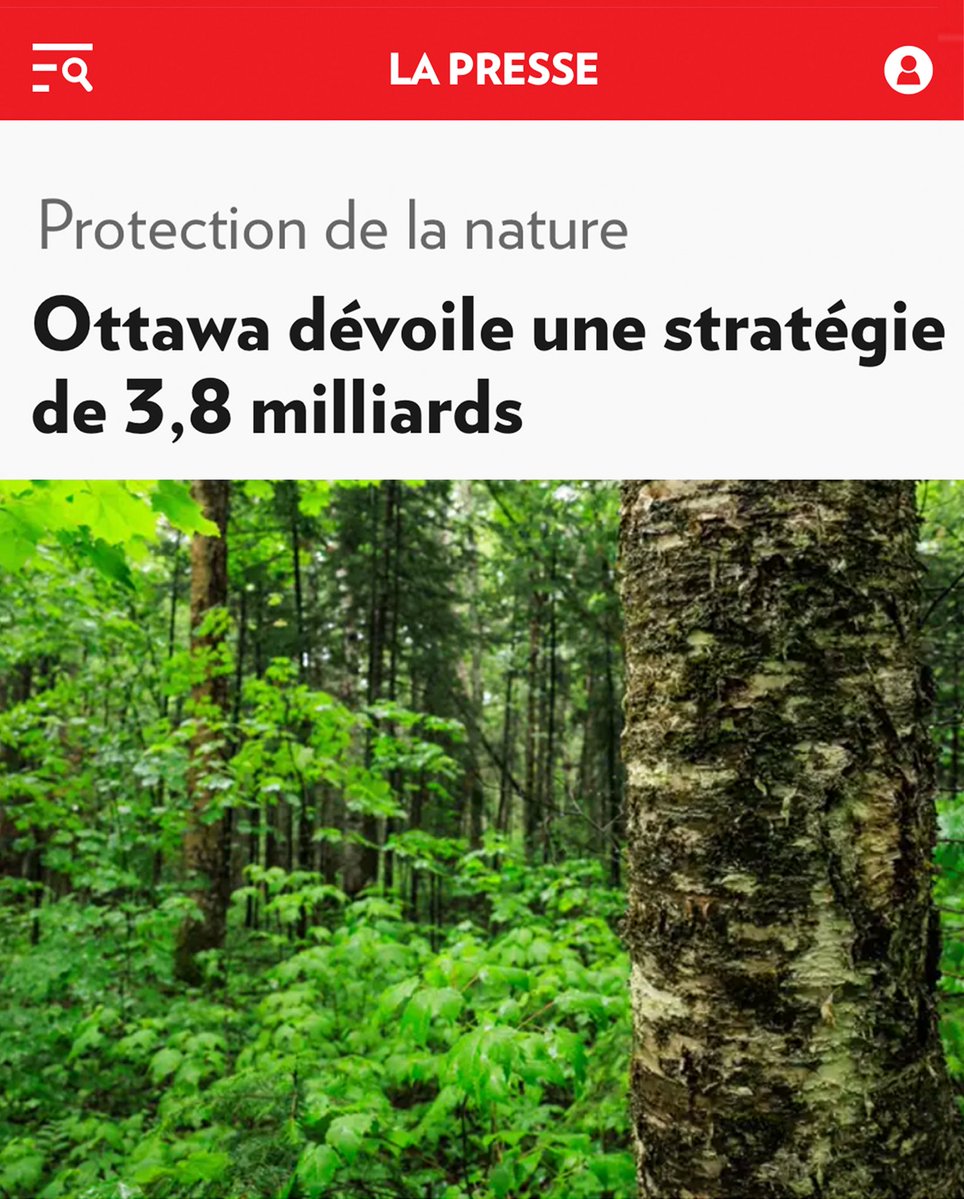 Mark Carney tweet media