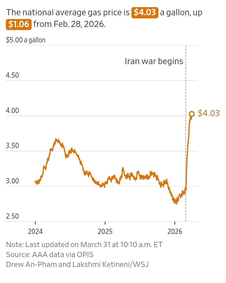 Ettore Marchetti tweet media