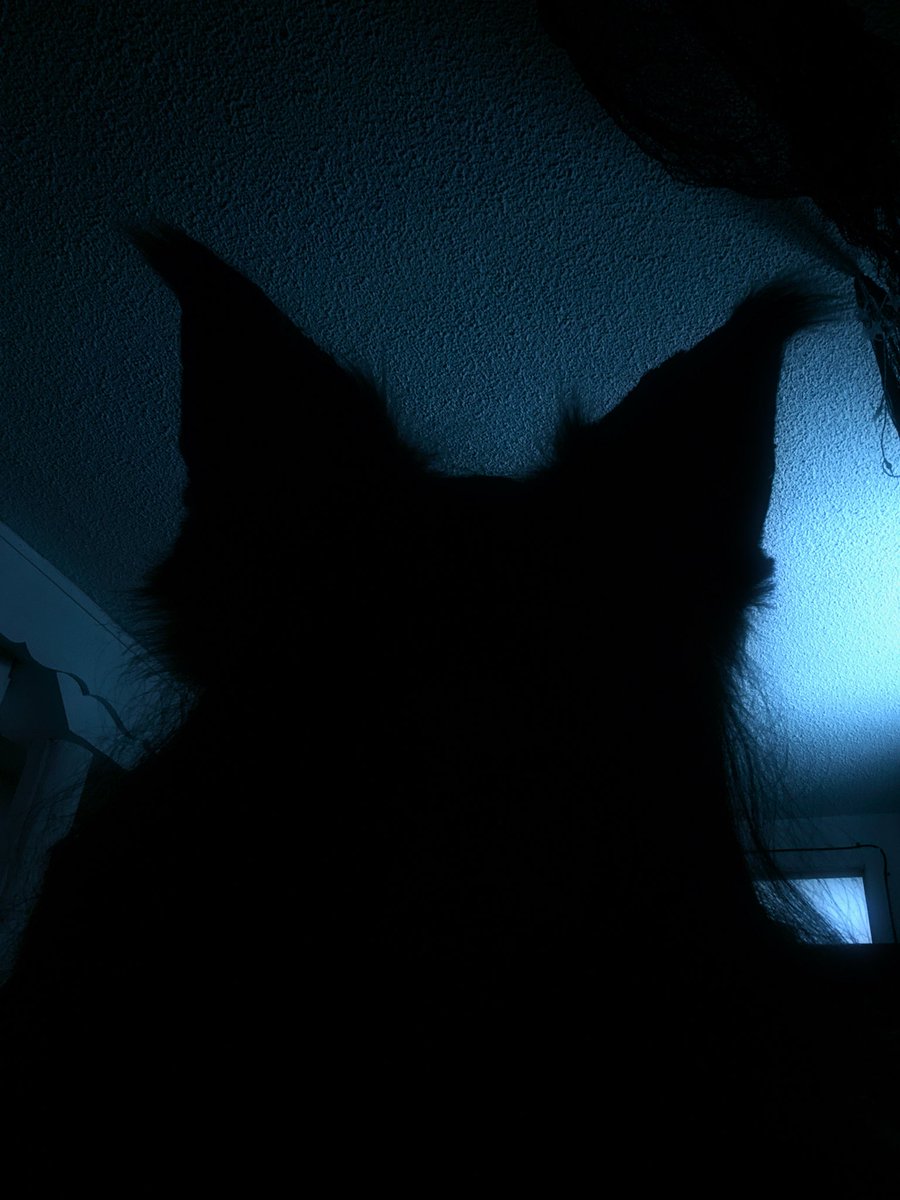 Pixie | 20 | NSFW/SFW tweet media