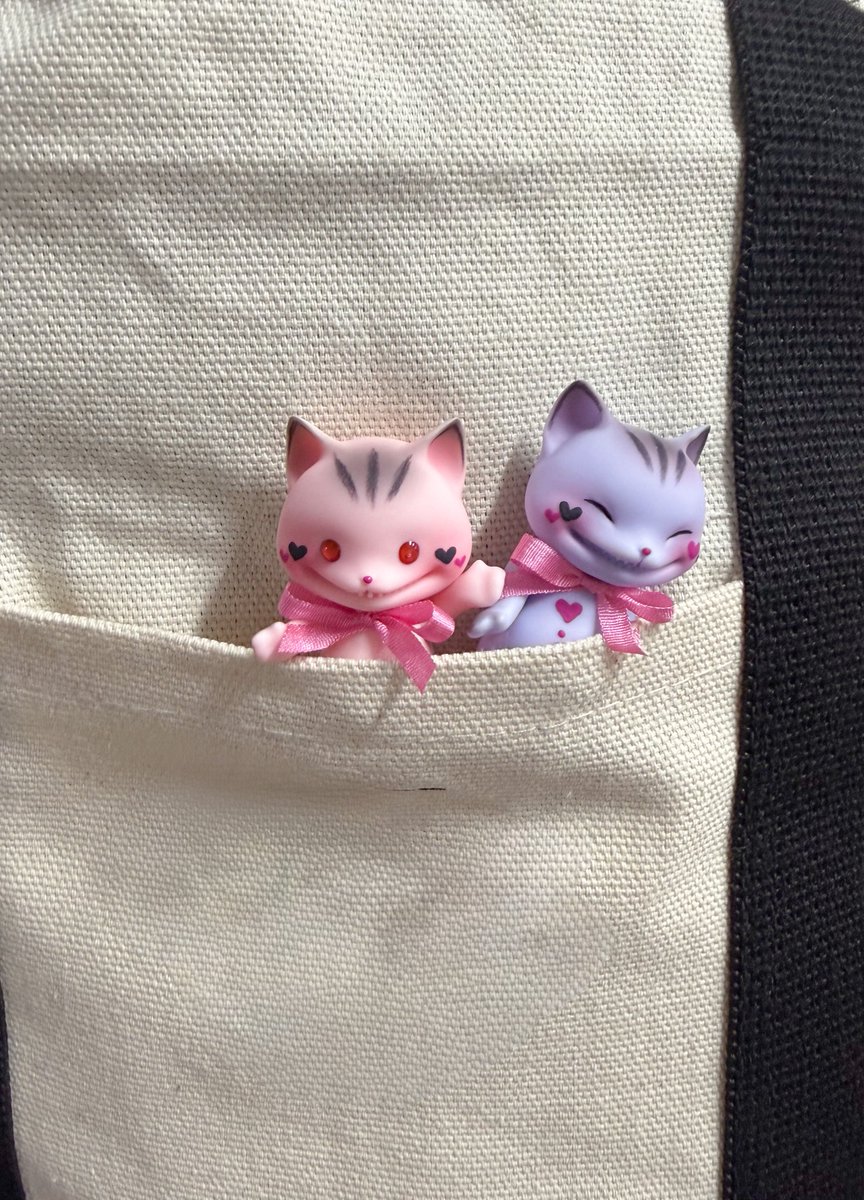 PIPOSDOLL 피포스돌 tweet media