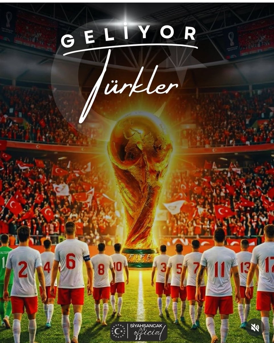 Vefalı🇹🇷 tweet media