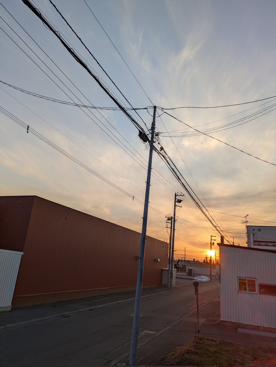 シャオメイ tweet media