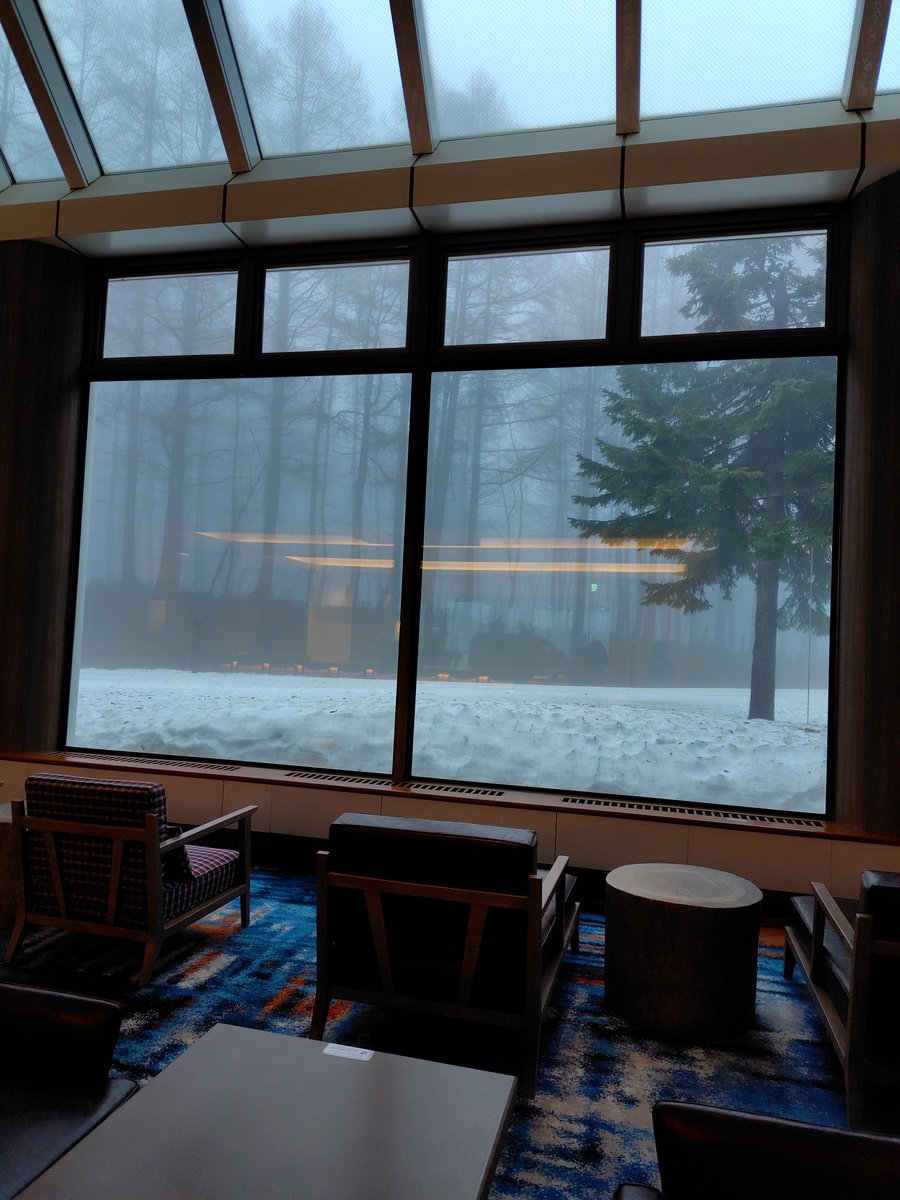 浮姫💕 tweet media