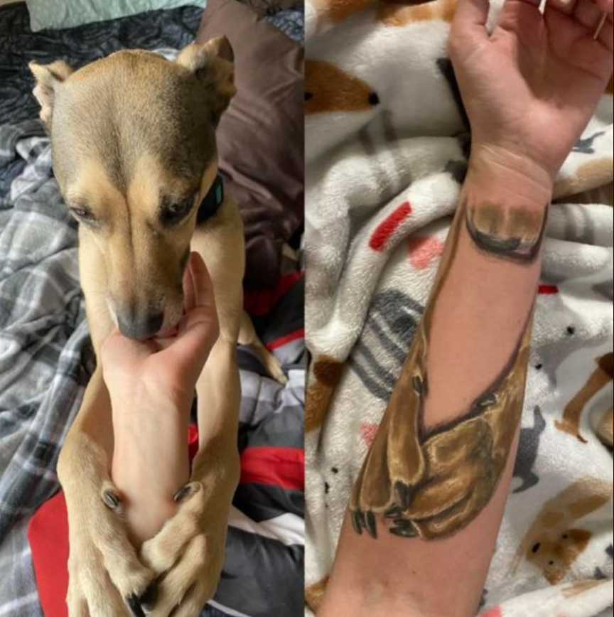 TweeetsOfDogs tweet picture