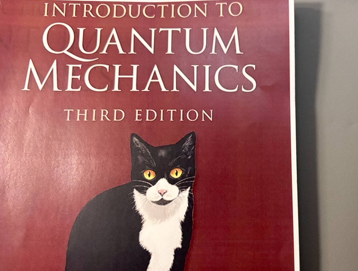 𝚗𝚘𝚘𝚛𝚊 tweet media