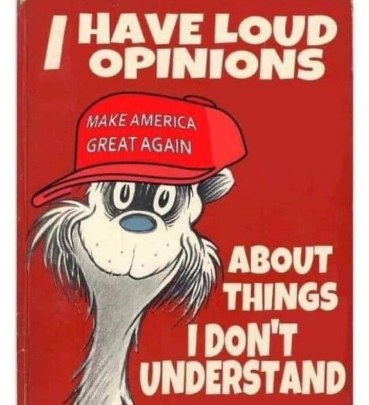 Alski 🇺🇦 tweet media