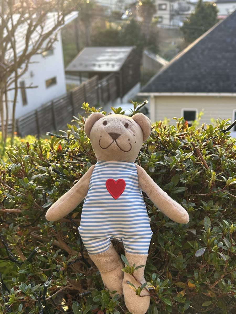 カロリー tweet media