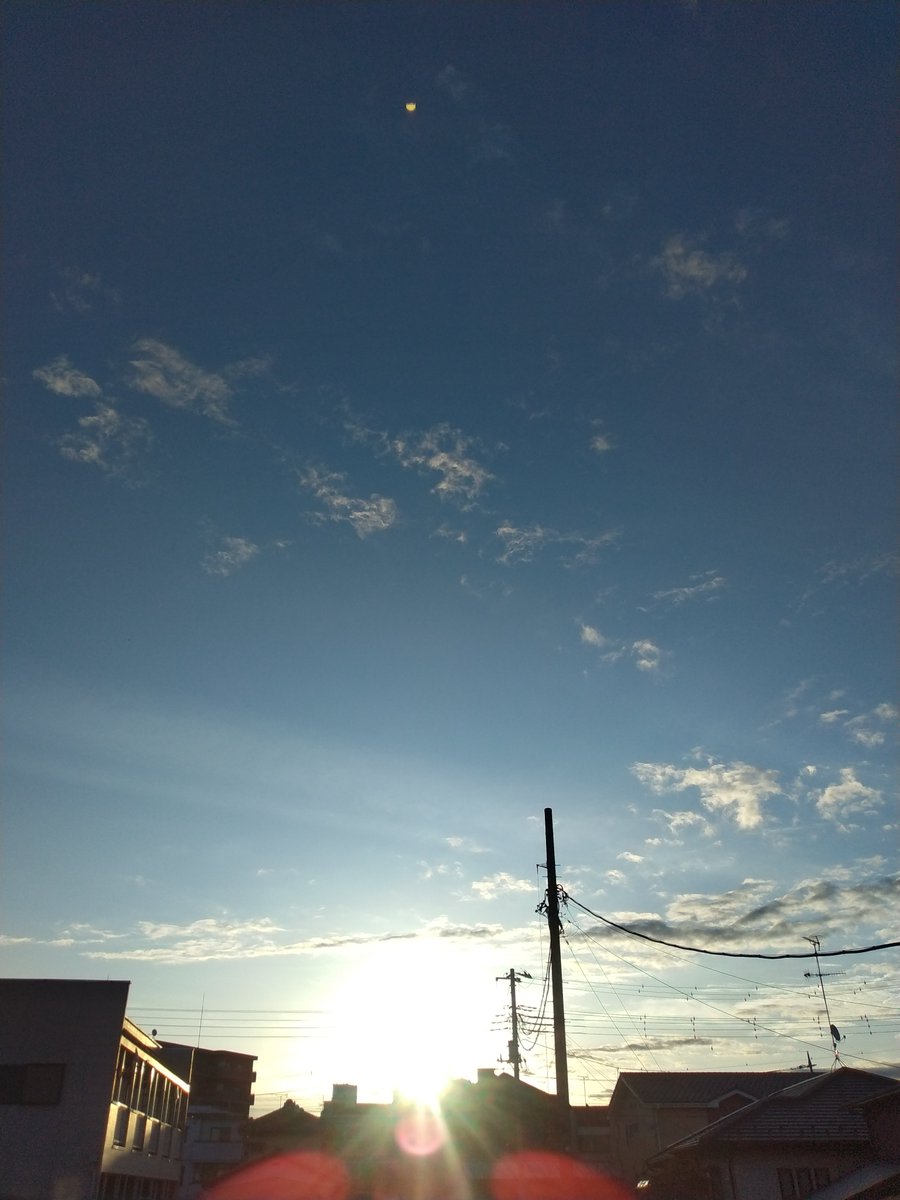 colonel_3dz（かーねる３だーす） tweet media