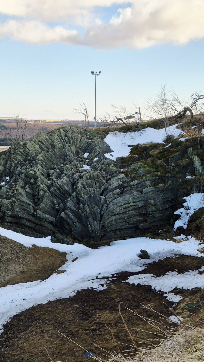 ᛏᛟᚱᛊᛏᛖᚾ ᚷᛟᛖᛏᛉ tweet media