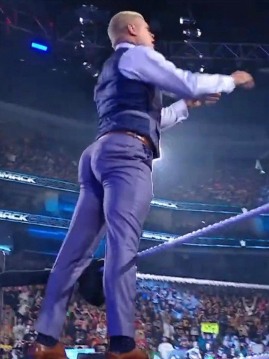 daily perky tweet media