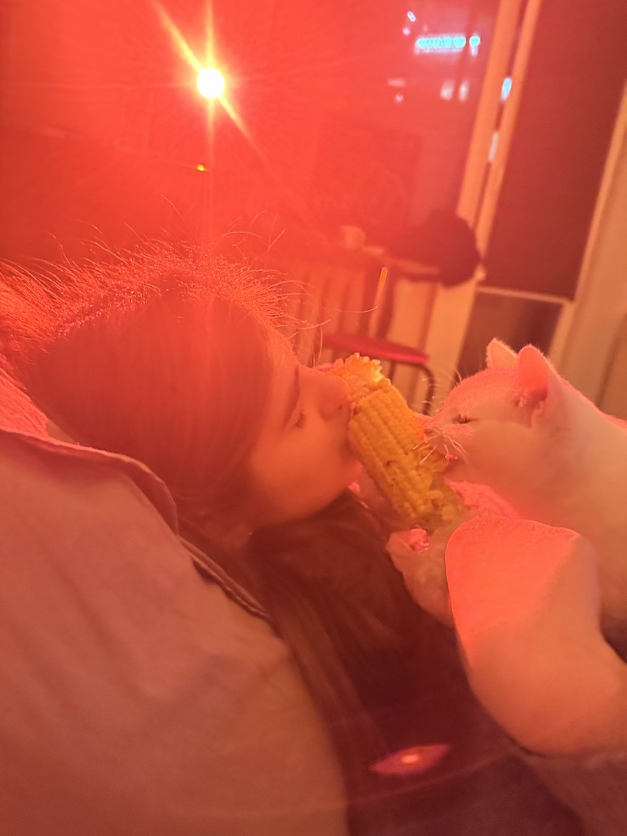 козоріз в. tweet media