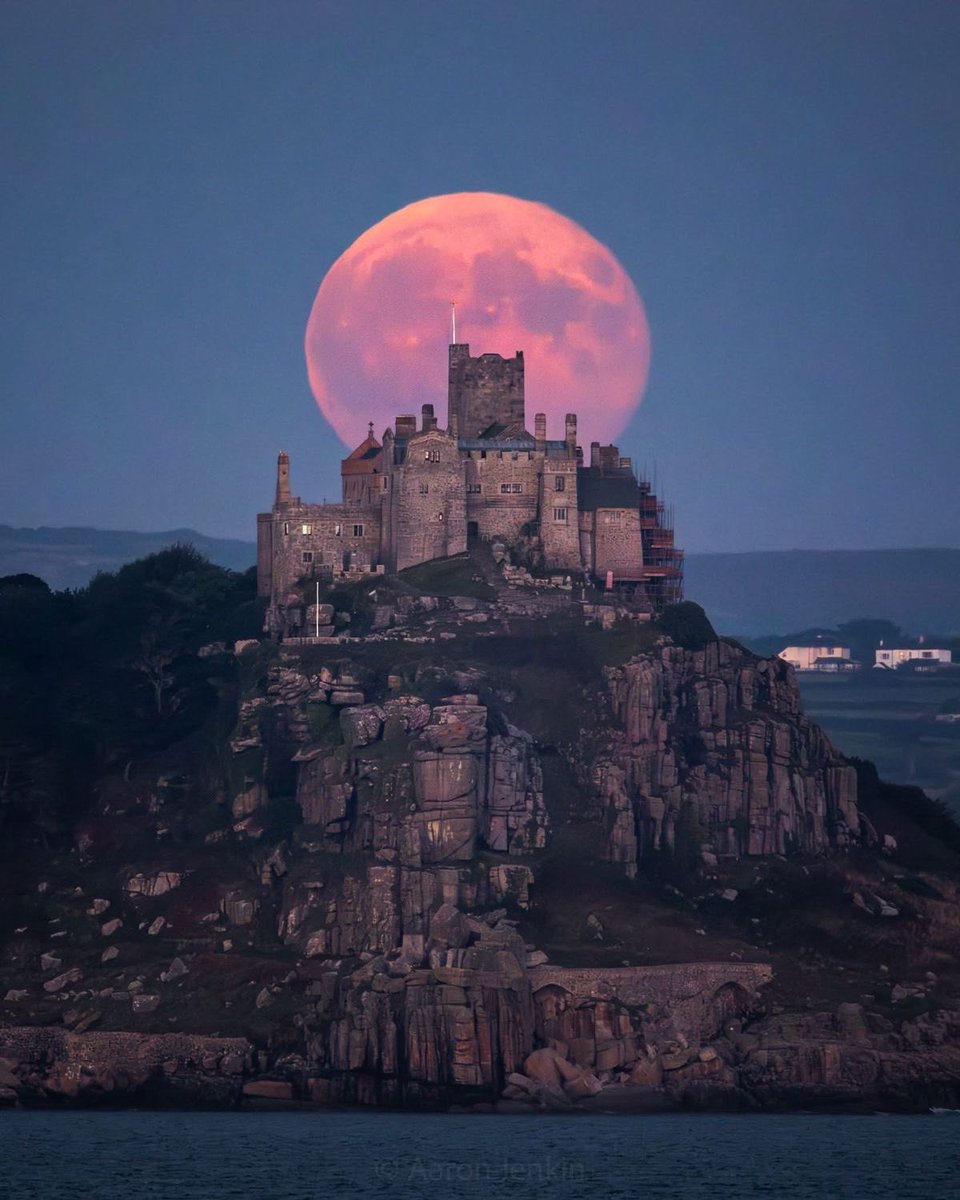 Bluebell Raven tweet media